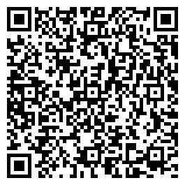 qrCode_PageSpeed Insights