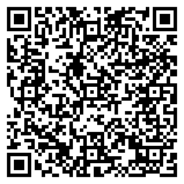 qrCode_PageSpeed Insights