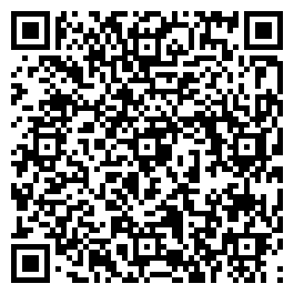 qrCode_littlebigdetails