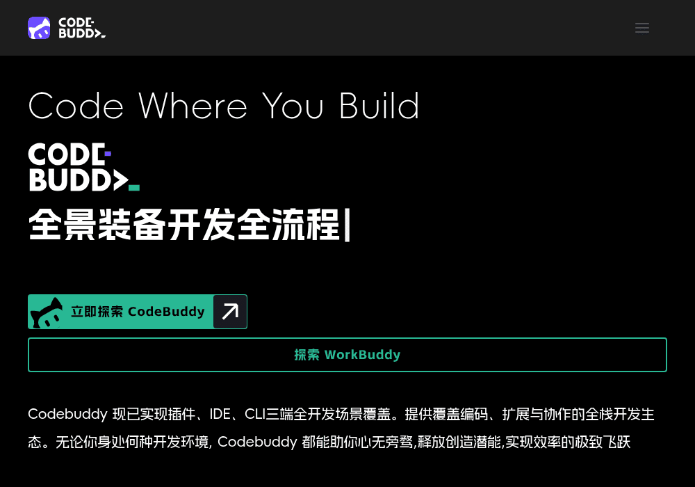 CodeBuddy