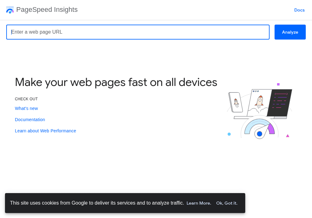 PageSpeed Insights