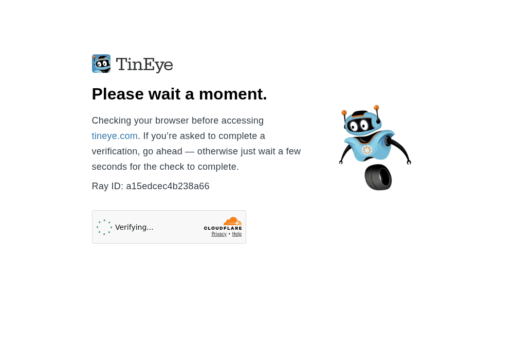 TinEye Reverse Image Search