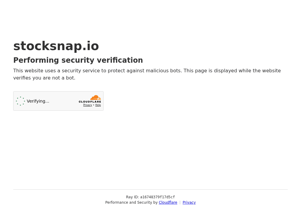 Stocksnap
